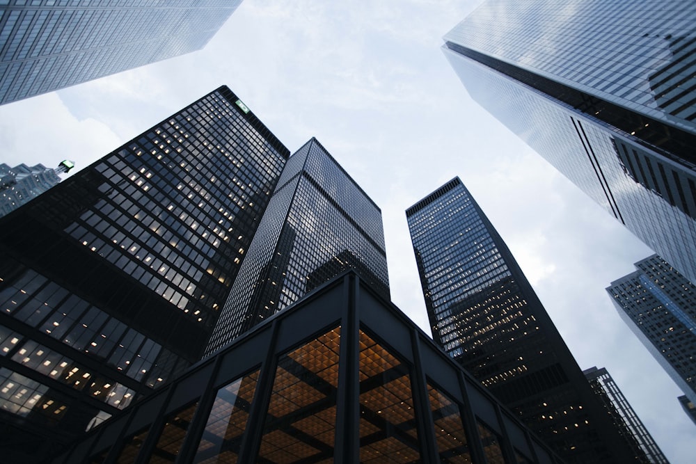 Modern reflection of corporate glass skyscraper skyward